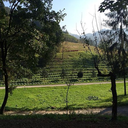 Casa Di Otello Monte San Giovanni  Zewnętrze zdjęcie