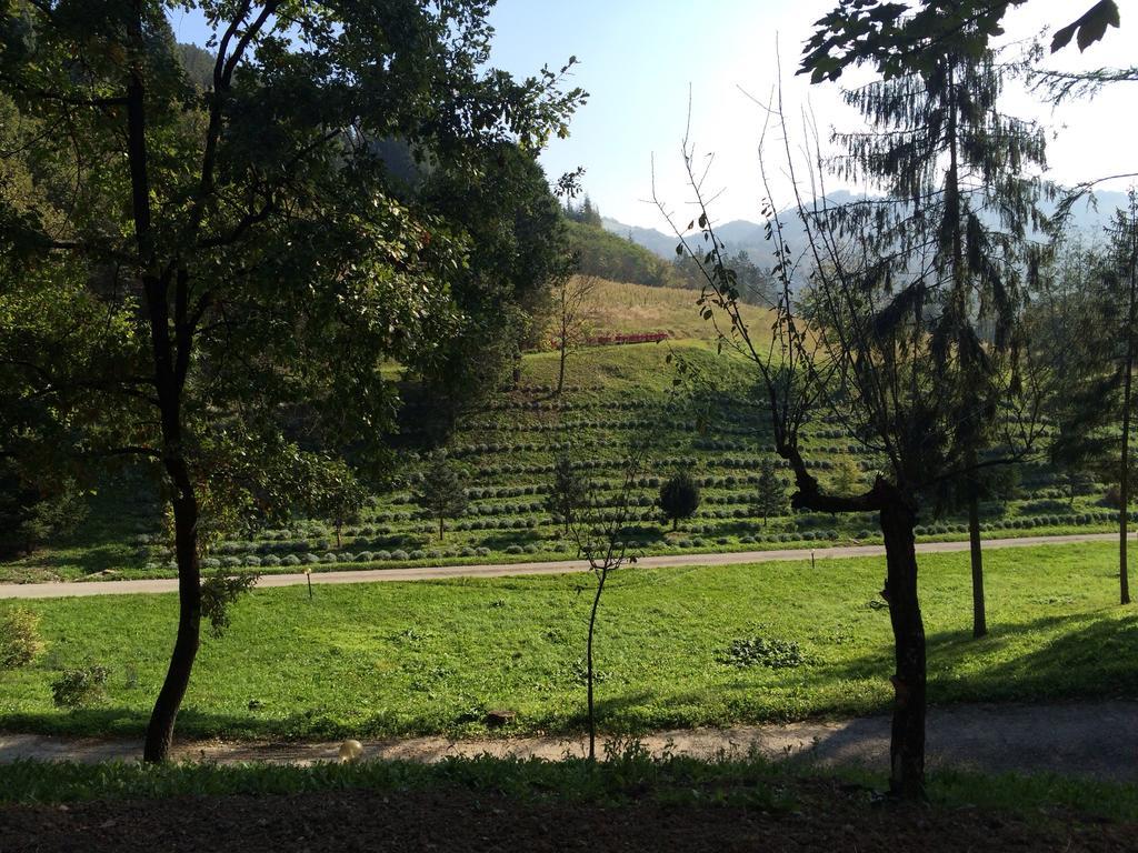 Casa Di Otello Monte San Giovanni  Zewnętrze zdjęcie